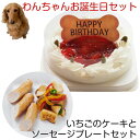 わんちゃんお誕生日ディナーセット いちごケーキとソーセージプレートセット 送料無料
