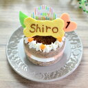 香りからおいしい♪ お魚好きのワンちゃん・ネコちゃんの為の手作りケーキ。 大切な記念日のお祝いに。 お名前・年齢入り。 賞味期限：発送日から2週間(冷凍保存) 冷蔵庫で解凍後お召し上がりください。 ※解凍後は賞味期限に関わらずお早めにお召し上がりください。 【解凍の目安】 冷蔵庫内で半日〜1日 環境により解凍時間は異なりますので、お召し上がりの前日に冷蔵庫内での解凍を推奨しております。 【サイズ】 直径　約5.5cm(土台部分) 【カロリー】 91kcal 【原材料】 ・土台 かつお、ゼラチン ・デコレーション カッテージチーズ、カツオ、にんじん、サーモン、ゼラチン、米粉、かぼちゃパウダー、おから、ココナッツオイル、キャロブ