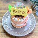 【Wagわん】犬・猫用ケーキ 誕生日 サーモンケーキ お名前・年齢入り。