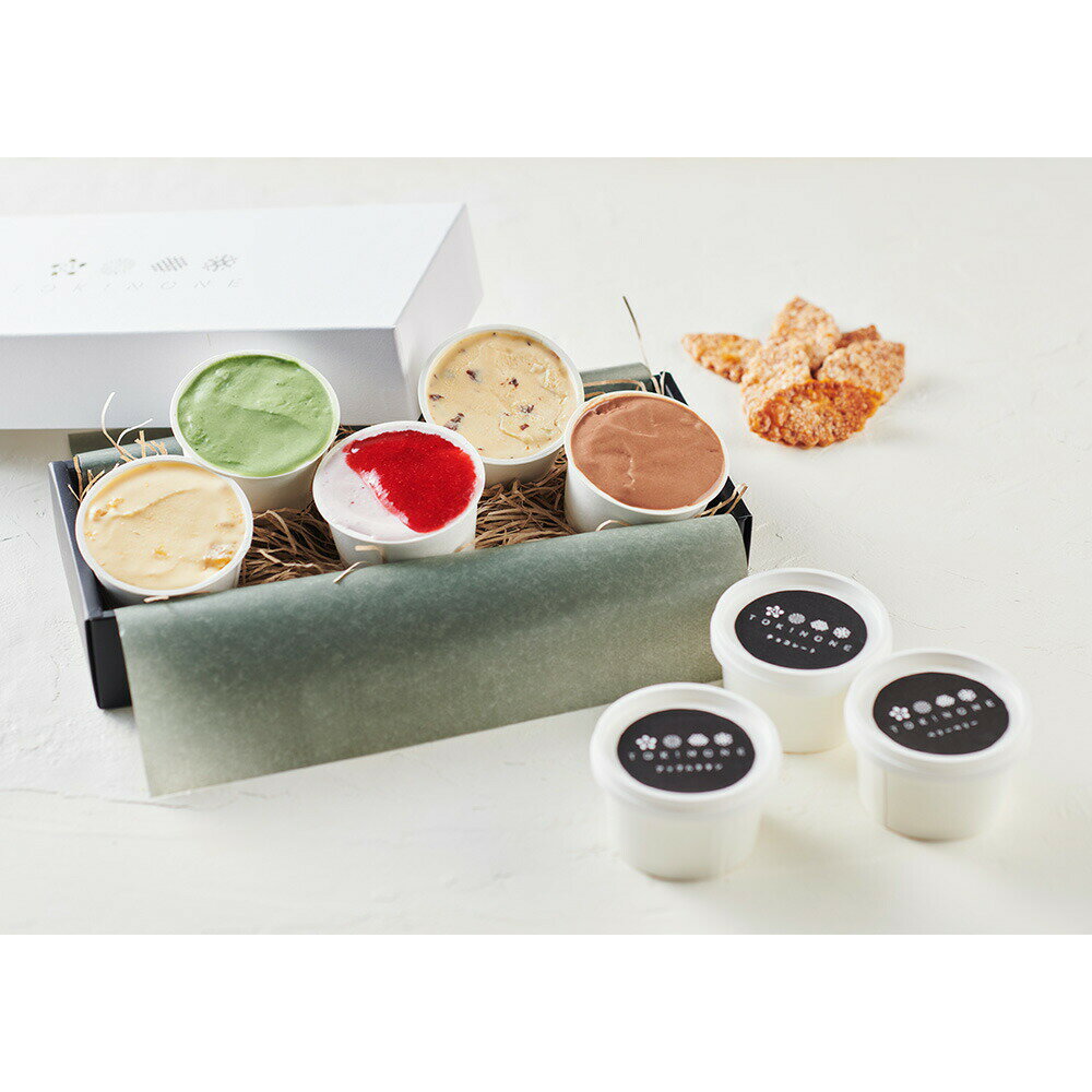 ʼ�� ��TOKINONE�� ���åץ�����5�8�ĥ��å�