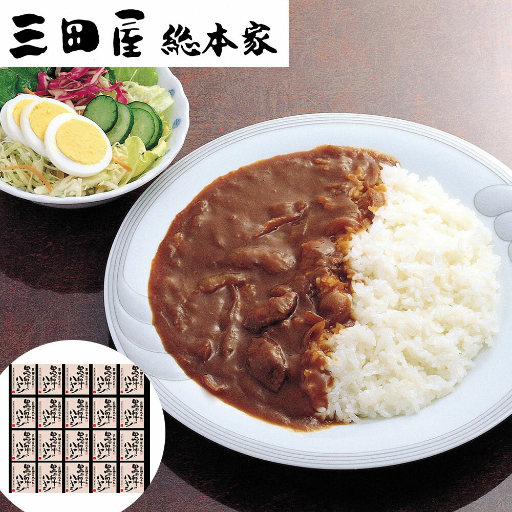 三田屋総本家 黒毛和牛のハヤシ(20食) 離島は配送不可