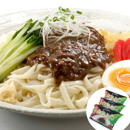 岩手 盛岡じゃじゃ麺セット 330g (めん120g×2 みそだれ45g×2)×3 離島は配送不可