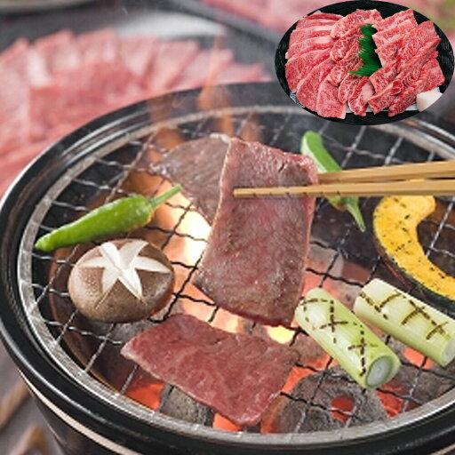 佐賀牛 焼肉 バラ 300g 離島は配送不可 佐賀牛 焼肉 バラ 300g 離島は配送不可