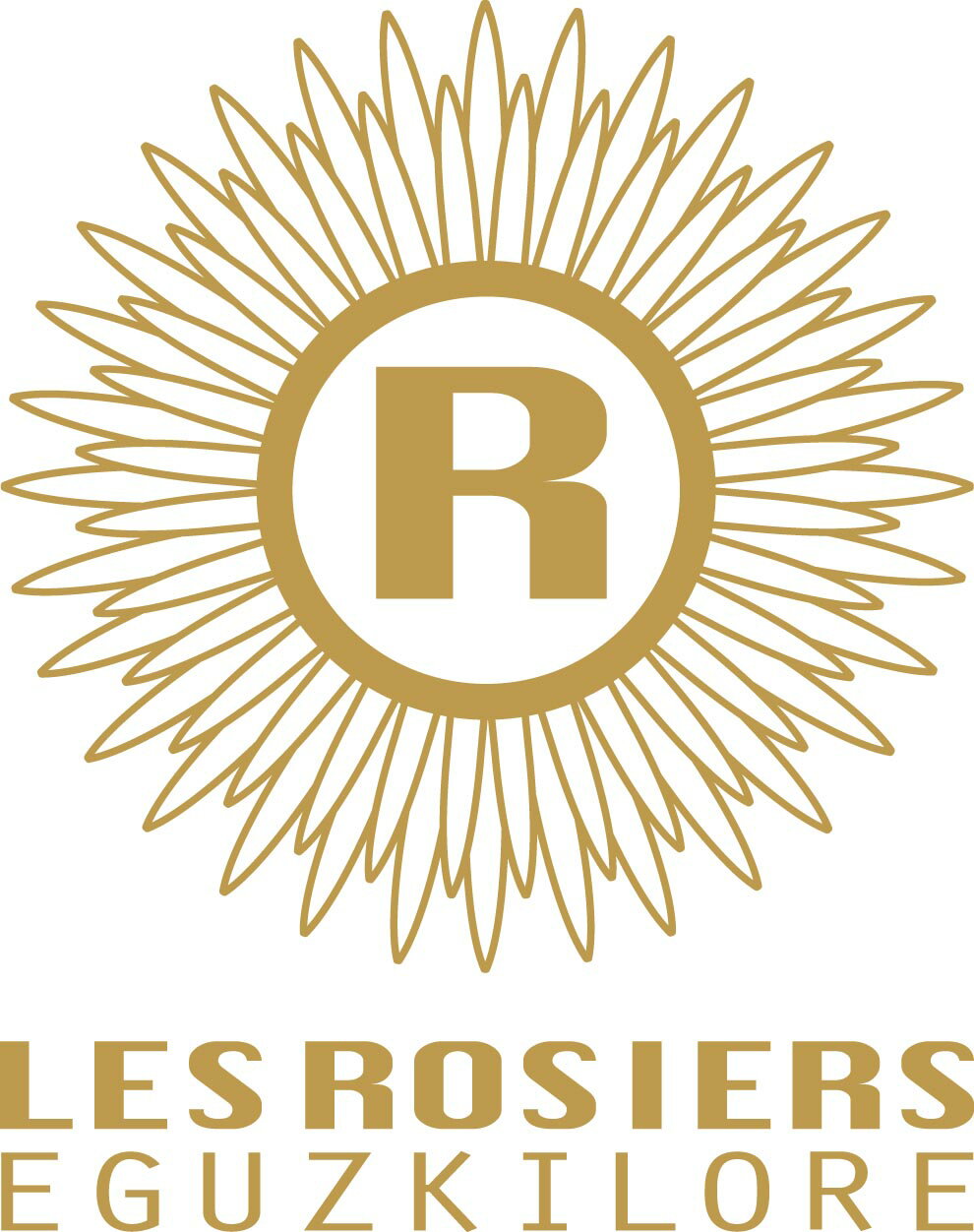 ��µ��� �� ������ �����她�������� ��¥ߥ˥��̥�Ԥ��Ϥ����֡�6/14��8/8��