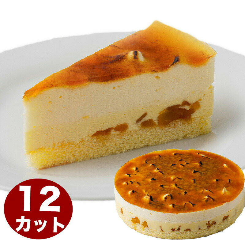 シブースト 7号 21.0cm 12カット済み �