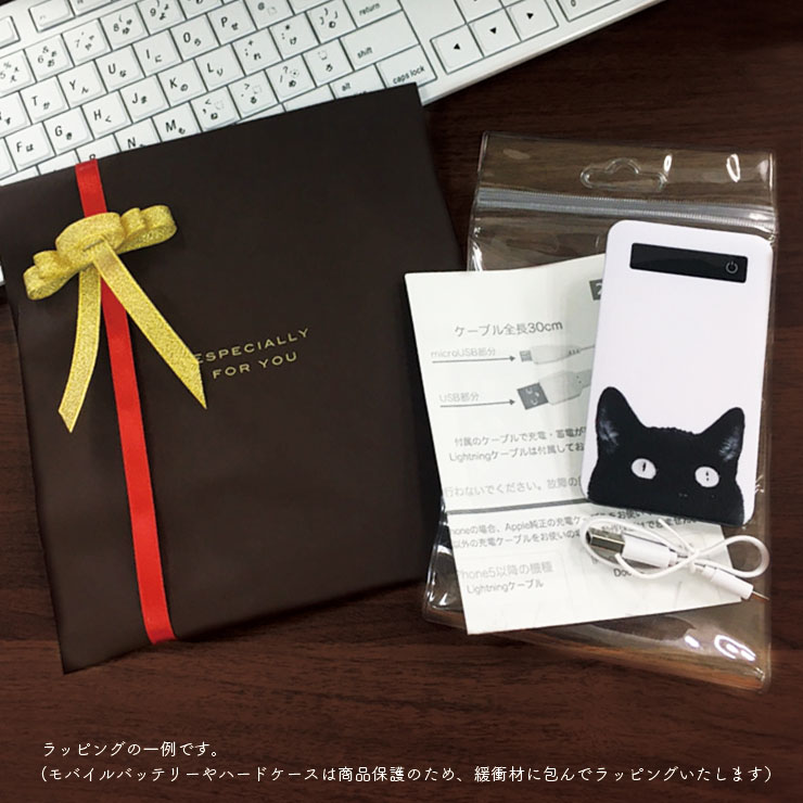 �ץ쥼����� ��åԥ󥰥��ե� �ߥ˥Хå������ޥۥ���������Х���Хåƥ꡼����