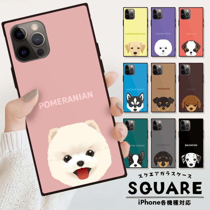 iPhone16 16Pro 16ProMax 16Plus ケース カバー iPhone15 pro max 15plus ケース 背面ガラス ケース スクエア 四角 iPhone 14 pro max ケース iPhone13 Pro 強化ガラス 軽量 おしゃれ 犬 ポメラニアン ダルメシアン 選べる10デザイン