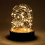 LEDガラスドームライト ロータイプ JPDR2010【クリスマス Xmas Christmas LEDライト LED 照明 装飾 デコレーション 飾り オブジェ ガラスドーム 電池式】