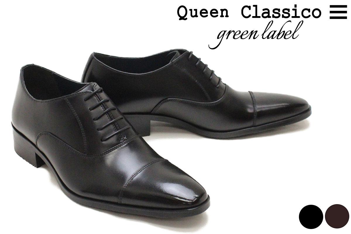 󥯥饷꡼졼٥ /  ɥ쥹塼 ȥ졼ȥå ֥å ֥饦 Queen Classico green label dw1600