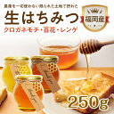 【国産蜂蜜3点セット250g×3】 大容量 送料込み 内祝い 贈答品 退職 食べ比べ 食べ物 食品 健康 男性 女性 父母 夫 妻 両親 お取り寄せグルメ ギフ...