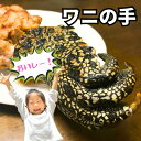 ワニの手 爪付き 選べる重量180g・250g・370g・500g・1kg・2kg 送料無料あり ★レビューキャンペーン実施中!ワニ肉 ワニ 冷凍 焼肉 鉄板焼...