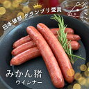 【1〜10パック】みかん猪ウインナー150g/5本入【日本猪祭グランプリ】いのしし 猪 イノシシ ジビエ 猪肉 イノシシ肉 ソーセージ 肉 バーベキュー BBQ...