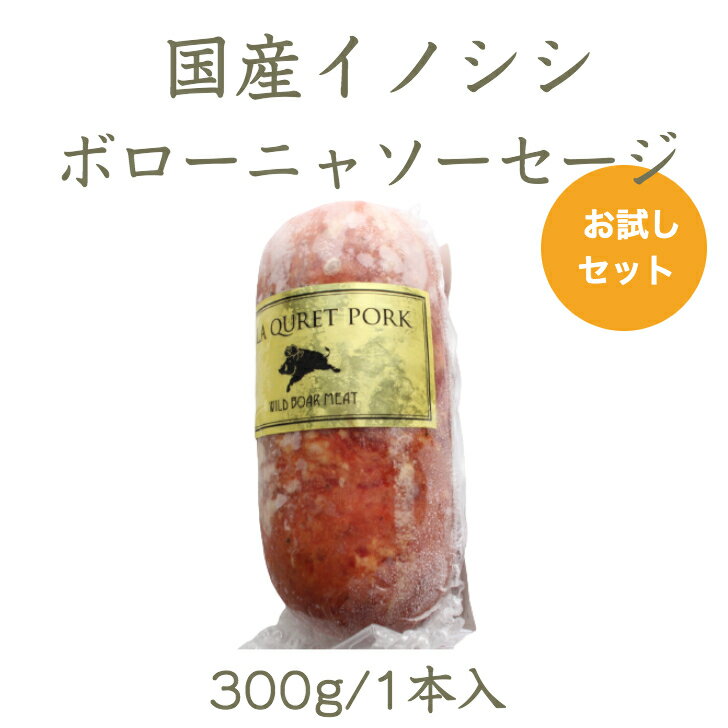 楽天Queens Ostrichダチョウ肉＆ジビエ【お試し1パック】国産ジビエ イノシシボローニャソーセージ 300g/1本入 ジビエ イノシシ 猪 ハロウィン クリスマス バーベキュー お取り寄せ お取寄せ アウトドア キャンプ 食材 イベント お祝い 誕生日 糖質制限 筋トレ 焼肉 赤身肉