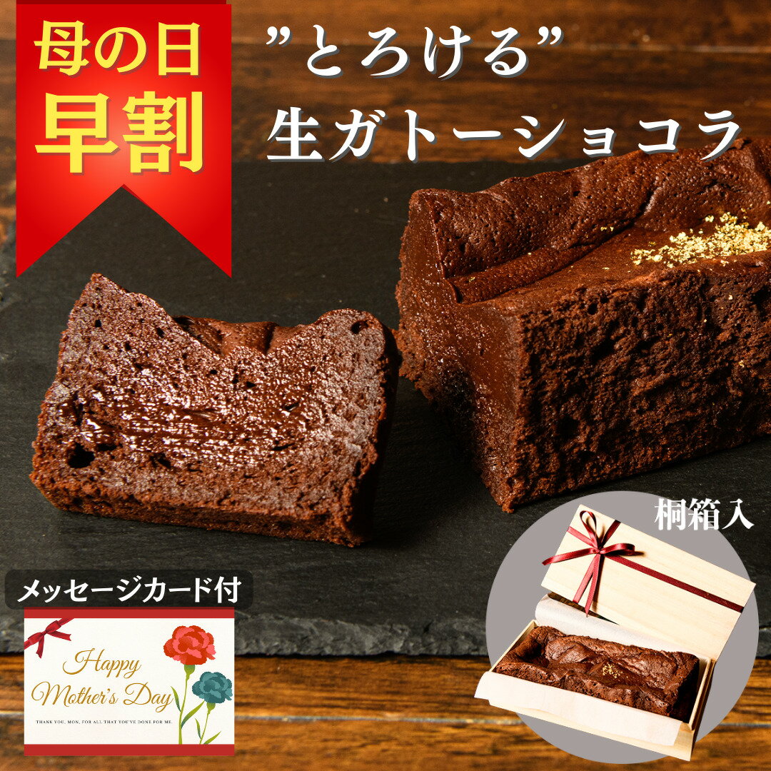 母の日 早割 ガトーショコラ ケーキ ガトー オ ショコラ ケーキ チョコレートケーキ 誕生日 冷凍 生チョコケーキ チョコケーキ 冷凍スイーツ 冷凍ケーキ スイーツ ご褒美スイーツ 贅沢スイーツ チョコ菓子 ギフト グルテンフリー 生ガトーショコラ 焼き菓子 スイーツ