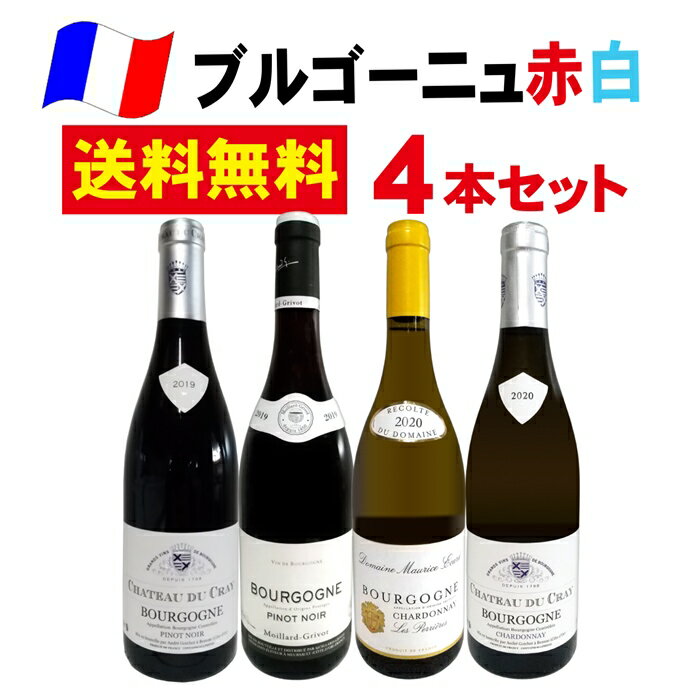 送料無料　赤　白　ワインセット　4本セット　750ml　フランス　ブルゴーニュ　フルーティー　辛口　飲み比べ　ギフト　プレゼント　お買い得　コスパ　ピノ・ノワール　シャルドネ　伊勢丹　クイーンズ