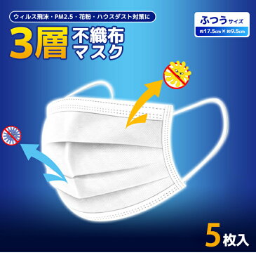 マスク【国内発送 4/30前後発送】数量限定 5枚 2セット 合計10枚 不織布マスク 白 3層構造 フェイスマスク(PM2.5対応) マスク10枚 大人用サイズ 立体設計 ウイルス対策 花粉対策 花粉 マスク ウィルス対策 使い捨て 大人用 白 ホワイト