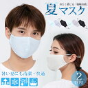 2枚セット 冷感 立体エチケットマスク ひんやり 涼しいマスク 薄手2タイプ 水洗い可能 息しやすい 夏マスク 3D メッシュ 大人用サイズ 立体設計 グレーブ...