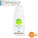 【EUCALYPTUS×OIL OF EMU】エミューマッサージオイル エミューオイル EMU SPIRIT製 オイル オブ エミュー 120ml OIL of EMU エミューオイル 100 エステ 美容