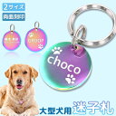 迷子札 オーロラ 2サイズ ペット レインボー 虹色 オイルスリック 犬 猫 わんちゃん リング2個付 サークル型 IDタグ ステンレス ネームタグ 首輪 名前...