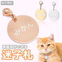 迷子札 ペットIDタグ 犬 猫 【名入れ無料】カニカン ステンレス ペットネームタグ 首輪 名前 タグ 防止 名入れ ネーム入れ オリジナル わんちゃん ネコ ...