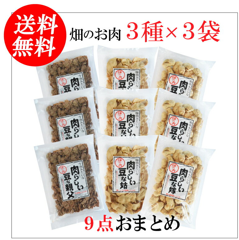 【送料無料9点セット】大豆ミート(畑の肉）肉らしい豆な家族3種類が3袋ずつ合計9点セット（牛肉・鶏肉..