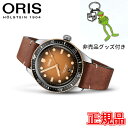 オリス 腕時計（メンズ） 【最大42回払いまで無金利】正規品 ORIS オリス ダイバーズ 65 自動巻き ブロンズ メンズ腕時計 送料無料 01 733 7707 4356-07 5 20 45 ラッピング無料 あす楽