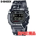 Ki CASIO JVI G-SHOCK DIGITAL 5000 SERIES NI[c Yrv DW-5000SS-1JR