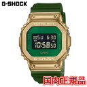 Ki CASIO JVI G-SHOCK 5600 SERIES NI[c Yrv GM-5600CL-3JF