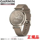 y؃mxeBizKi GARMIN K[~ X}[gt@bVEHb` Lily2 Classic Coffee Nylon/Cream Gold X}[gEHb` 010-02839-52  bsO