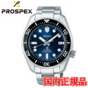 RAVbv胂fy؃mxeBiz Ki SEIKO ZCR[ vXybNX ZCR[O[ouh  Yrv SBDC127