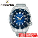 y10%N[|I4180`219:59zRAVbv胂f Ki SEIKO ZCR[ vXybNX ZCR[O[ouh  Diver Scuba Yrv SBDC175