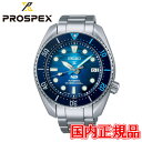 RAVbv胂f Ki SEIKO ZCR[ vXybNX ZCR[O[ouh  Diver Scuba Yrv SBDC189