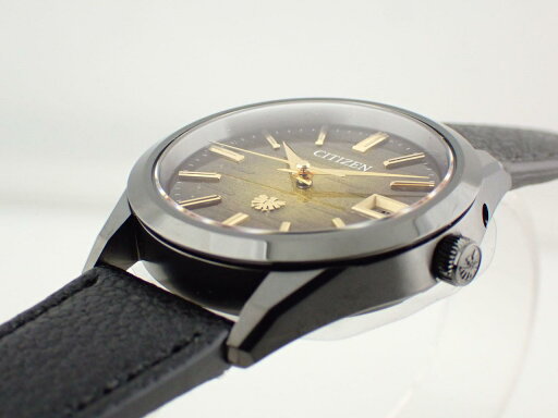 シチズン ザ・シチズン エコドライブ Iconic Nature Collection 数量限定 AQ4106-18X(A060-A1CT405)新品