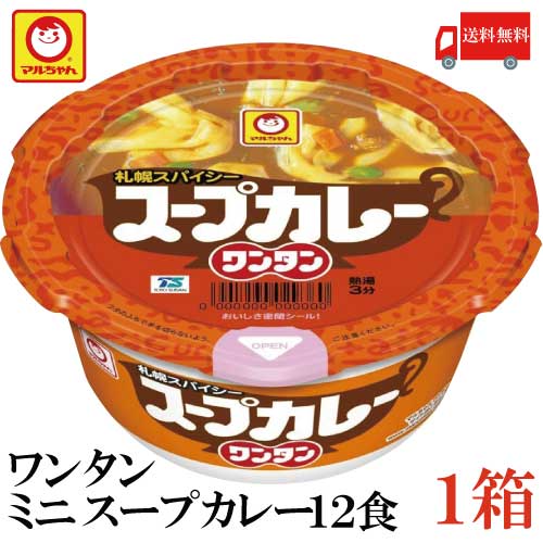 送料無料 マルちゃん スープカレー ワンタン 29g×12食【1箱】（わんたん 雲呑 インスタント）