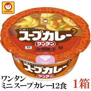 マルちゃん スープカレー ワンタン 29g×12食【1箱】（わんたん 雲呑 インスタント）