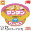 送料無料 マルちゃん ワンタン カップ ミニ たまごスープ味 28g×24食【2箱】（わんたん 雲呑 インスタント）