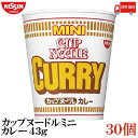 送料無料 日清 カップヌードル カレー ミニ 43g×2箱【30個】