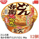 送料無料 日清 どん兵衛 鬼かき揚げ天ぷらうどん 96g ×1箱【12個】(甘みと旨み際立つ大切り玉ねぎ)
