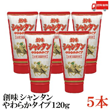 送料無料 創味 シャンタンやわらかタイプ 120g×5本 （チューブタイプ）