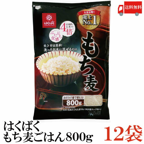 送料無料 はくばく もち麦ごはん 800g ×12袋