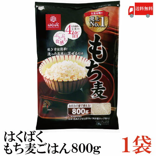 送料無料 はくばく もち麦ごはん 800g ×1袋