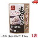送料無料 もち麦 はくばく 国産 かけるだけもち麦 50g ×1袋