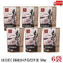 送料無料 もち麦 はくばく 国産 かけるだけもち麦 50g ×6袋