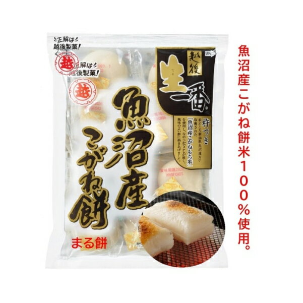 オーサワオーサワの有機活性発芽玄米餅 300g(6個)×12パック　父の日