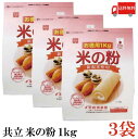 共立食品株式会社 共立 米の粉 お徳用 1kg