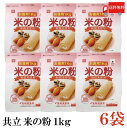 送料無料 共立 米の粉 お徳用 1kg ×6
