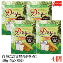 送料無料 パイオニア企画 白神こだま酵母ドライG 40g (5g×8袋) ×4個