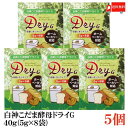 送料無料 パイオニア企画 白神こだま酵母ドライG 40g (5g×8袋) ×5個