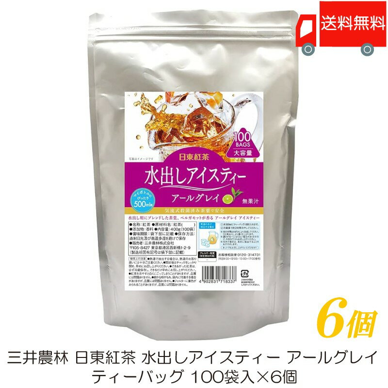 送料無料 三井農林 日東紅茶 水出しアイスティー アールグレイ ティーバッグ 100袋入×6袋