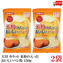 送料無料 大川 カラット 米粉おいしいパン粉 150g×2袋